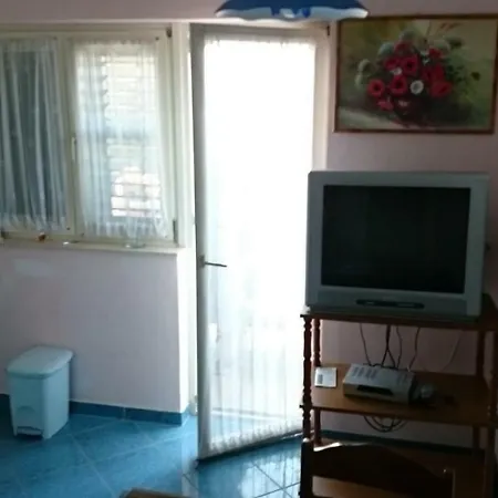 Apartman Palme בית הארחה שיבניק